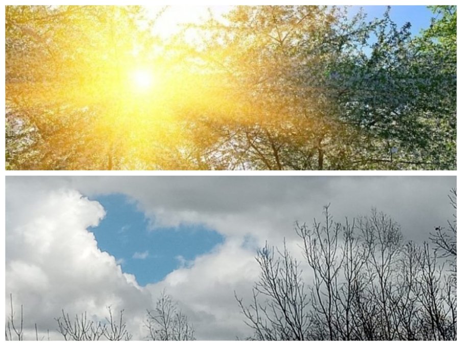 ЯСНО КАТО ЗА МАРТ: Слънчево с малко облачета в небето, максималните температури гонят пролетните 20°