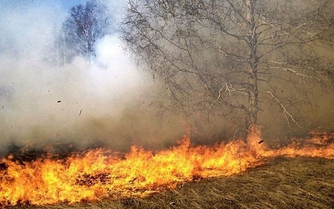 В Гърция влиза в сила забрана за палене на огън на открито