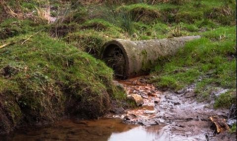 Лепнаха 2000 лв. глоба на Община Рила заради фекалии в река, РИОСВ не прости и монасите от светата обител - плащат 500 лв., били разсеяни