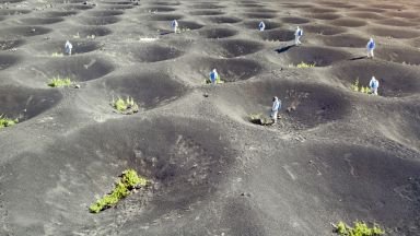 НОВ ЕКСПЕРИМЕНТ: На Луната ще могат да се отглеждат растения