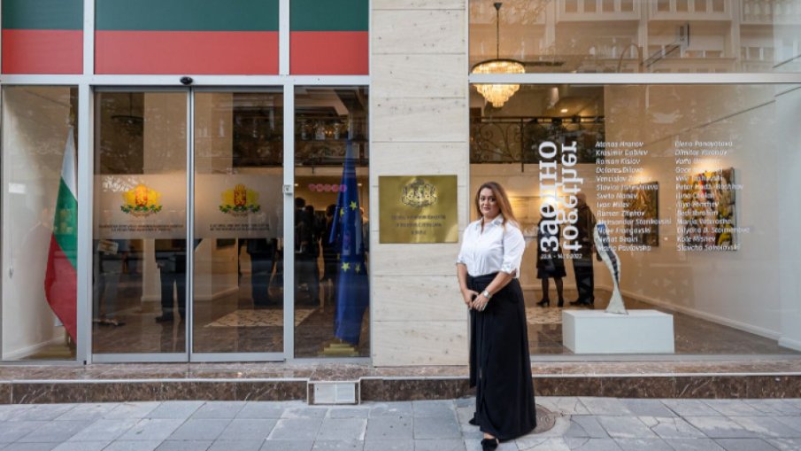 Директорът на информационния ни център в Скопие: Става въпрос за разрушаване на държавно имущество и накърняване на държавния имидж