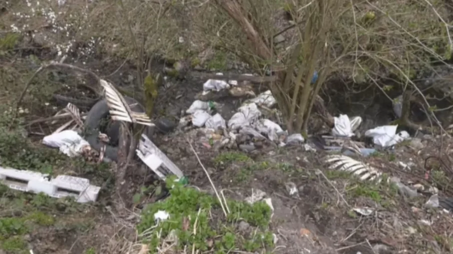 ШОКИРАЩА ГЛЕДКА: Изхвърлят животински останки край водоема на мездренско село