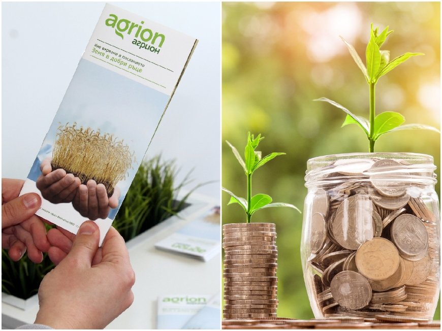 Електронен магазин отдава земя под наем