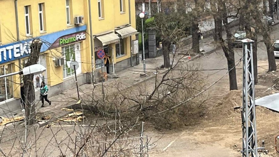 След мощната буря в Пловдив: Какви са щетите