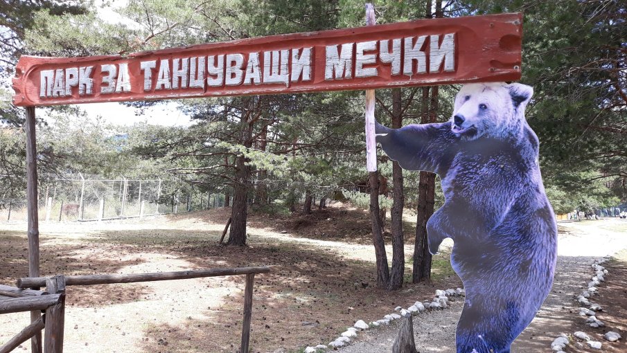 Мечките в Белица се събудиха от зимен сън