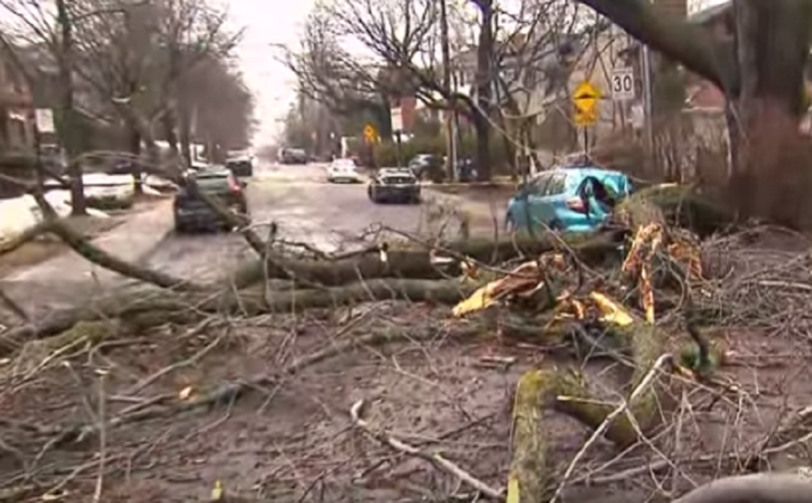 След мощна ледена буря - около милион души останаха без ток в Канада, Монреал е опустошен (ВИДЕО)