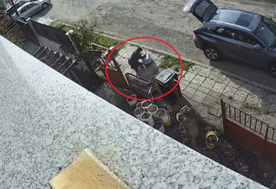 Жена отвлече домашна котка, преструвайки се на общински служител