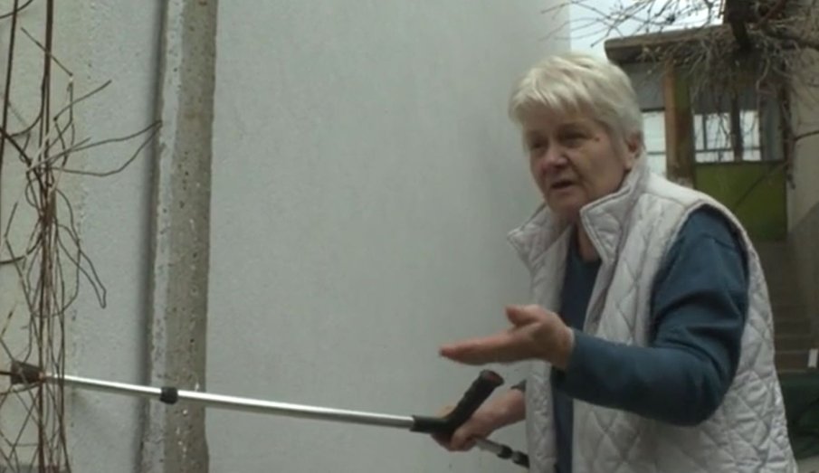 Възрастна жена простреля мъж по погрешка, за да се отърве от бездомни кучета