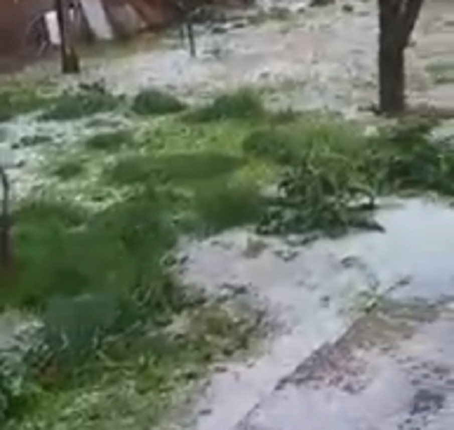 Градушка удари в Силистренско