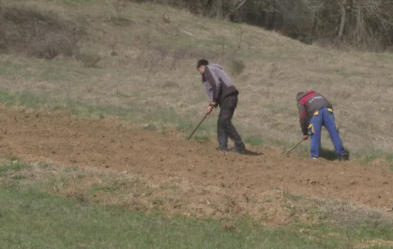 Семейство в Смолянско откри хилядолетна гробница, докато копае нивата си