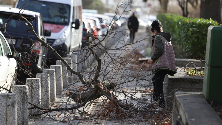 Бурният вятър причини щети в столицата