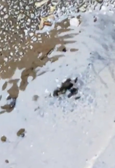 ВиК и частна фирма спорят за авария, а водата си тече