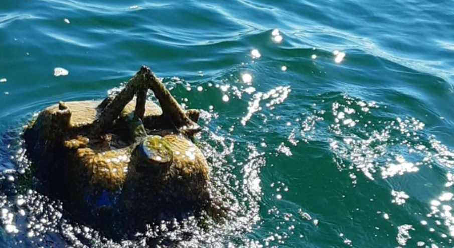 Спецекип от ВМС провери сигнал за съмнителен обект в Черно море