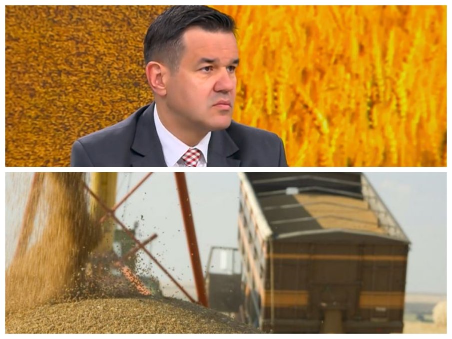 Никола Стоянов: Жито за 3 милиона лева стои по хамбарите