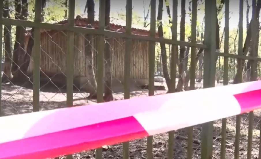 Вандали вилняха в зоопарка в Хасково