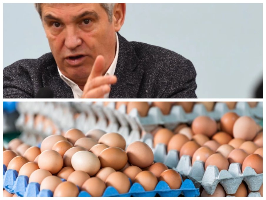 Пламен Димитров: В едни и същи европейски вериги българските яйца са най-скъпи, заради инфлацията хората посягат на спестяванията си