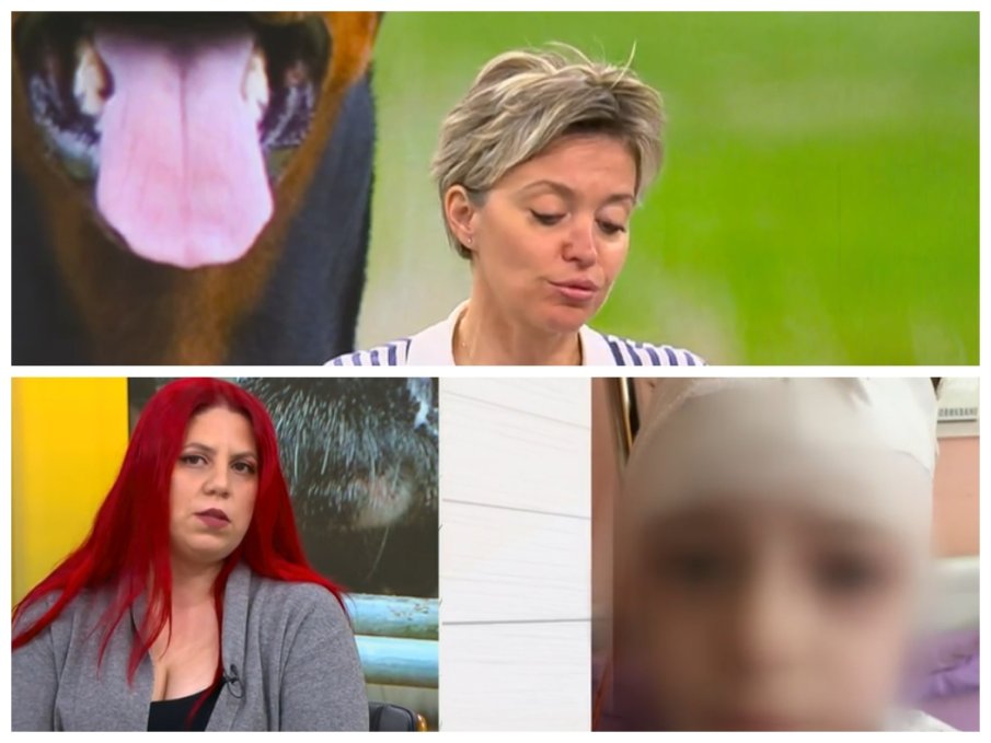 Нападнати от питбули искат контрол над бойните породи кучета