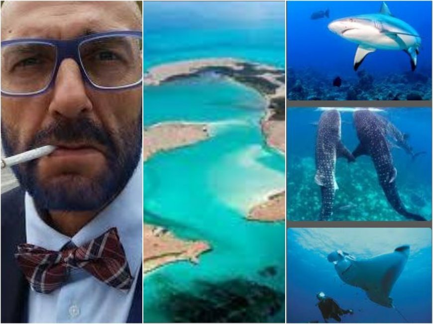 САМО В ПИК: Напрежение в ГЕРБ - Любен Дилов още не се е заклел като депутат. Депутатите на Борисов - 68 вместо 69, защото...