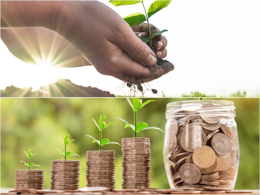 Бум на търсенето на земеделска земя под наем