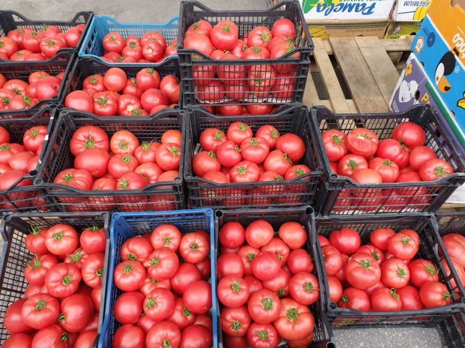 КАЛКУЛАТОР: Доматите се продават за 4 лв, а краставиците вървят по 3,66 лв.