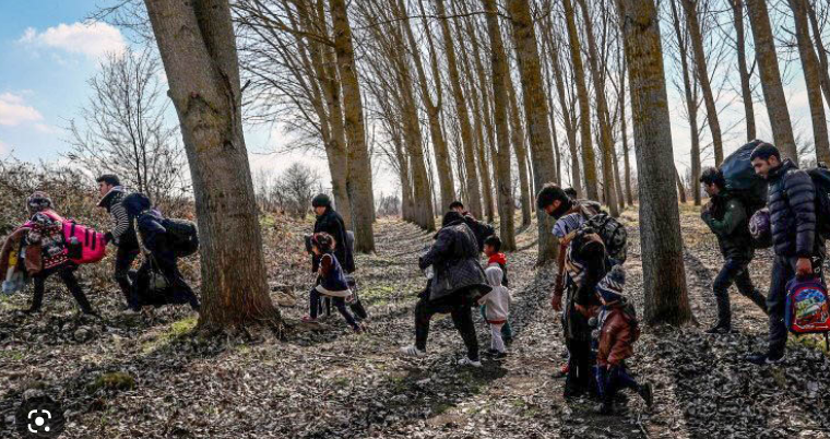 25-има нелегални мигранти заловиха в района на Кюстендил