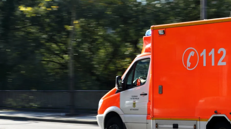 Ремарке с дърва премаза работник