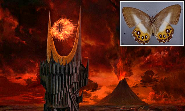 Кръстиха нов вид пеперуди на злодей от Властелинът на пръстените