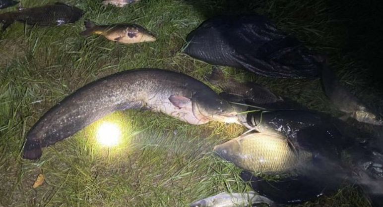 Хванаха бракониер с над 100 кг риба, има 5 присъди и 4 висящи разследвания