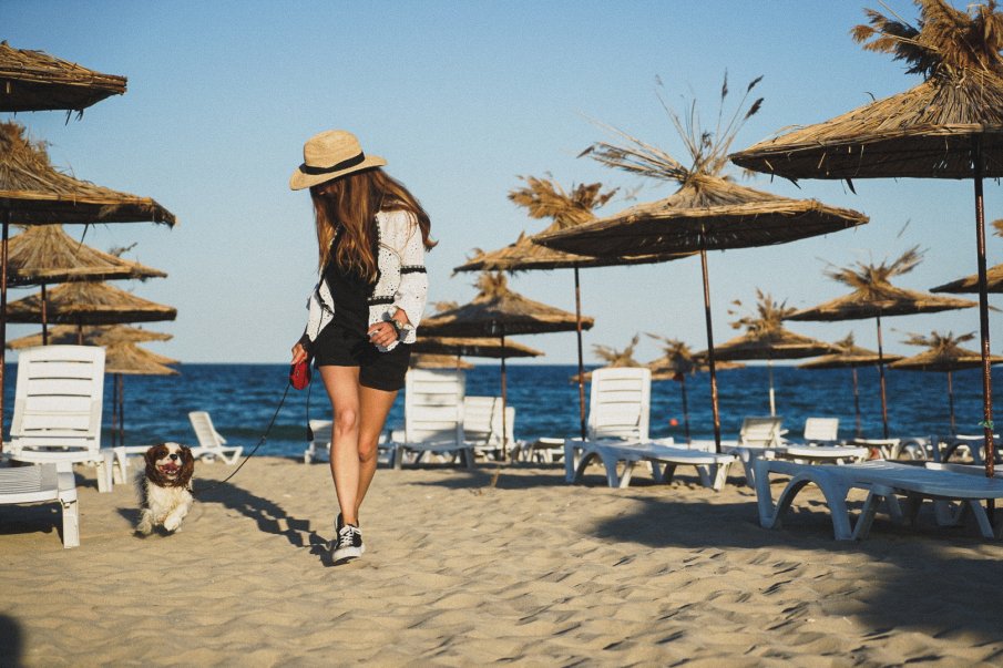 Забраниха домашни любимци на плажа във Варна