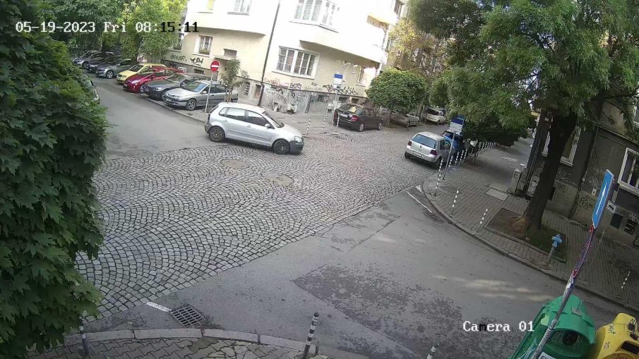 Шофьор прегази куче в центъра на София