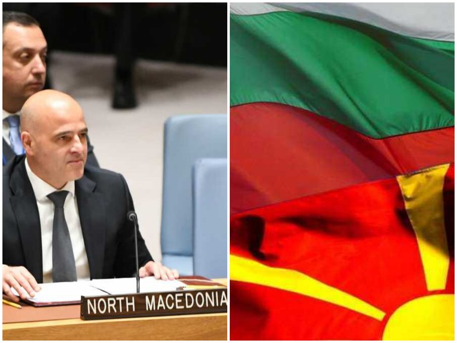 Македонците ни бият шамар след шамар, а ние пишем декларации