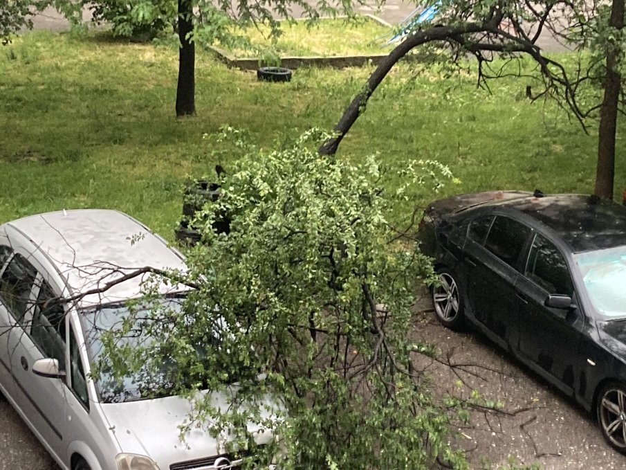 СТИХИЯ: Мощна буря връхлетя София - изкорени дървета и наводни подлези (СНИМКИ)