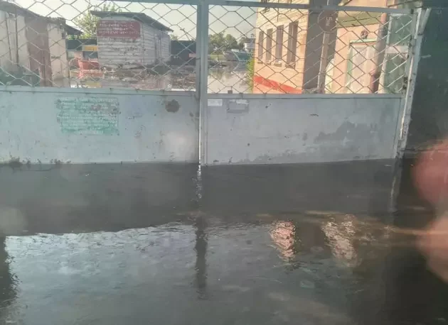 ШОКИРАЩО ВИДЕО: 300 животни загинаха в наводнения зоопарк в Нова Каховка