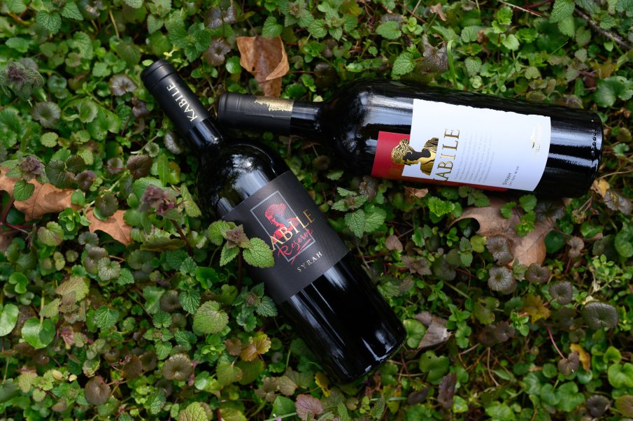 Нов успех за българското вино!„Вила Ямбол“ донесе най-много медали за България на Decanter (СНИМКИ)