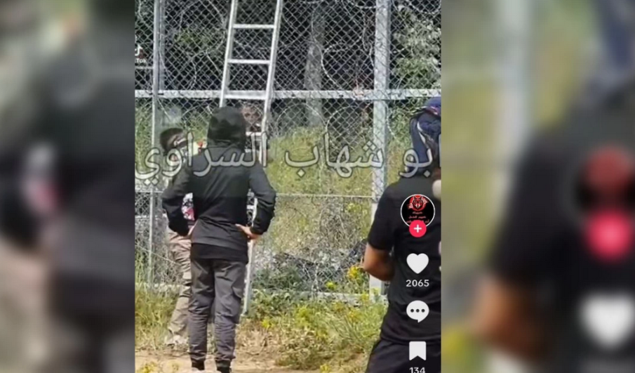 АЛО, МВР! Обяви на каналджии в ТикТок за трафик на мигранти през България