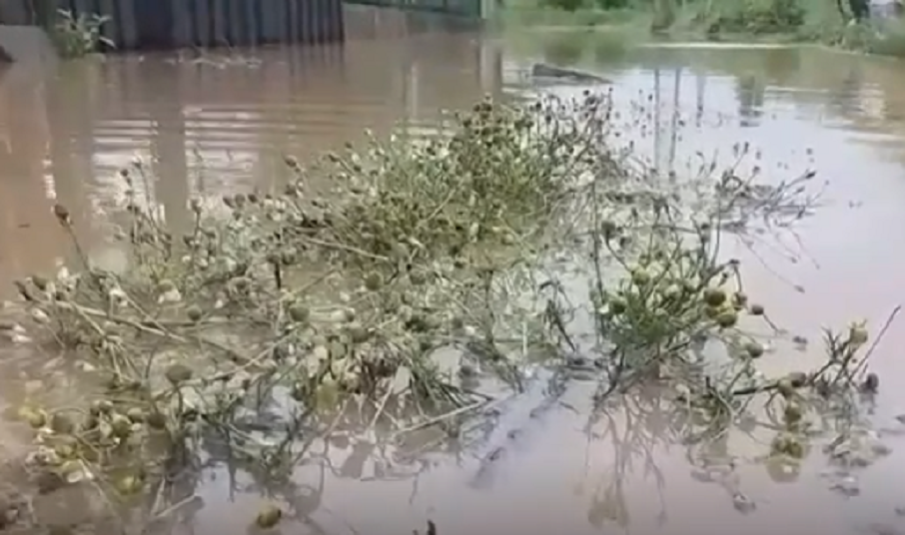 ЗЛОЧЕСТИНА: Река подкопа улица в село Подгумер