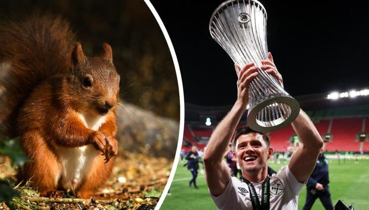 КУРИОЗ: Защитникът на Уест Хем закъса заради катерици