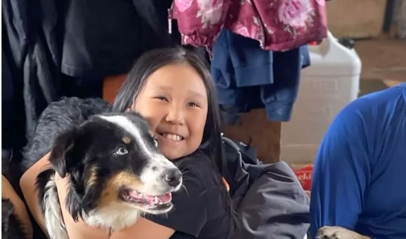 Семейство от Аляска намери изчезналото си куче на 241 километра от дома им