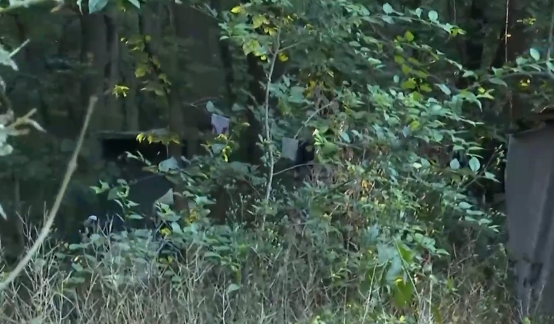 Бездомни семейства живеят в Ловния парк в София при нечовешки условия