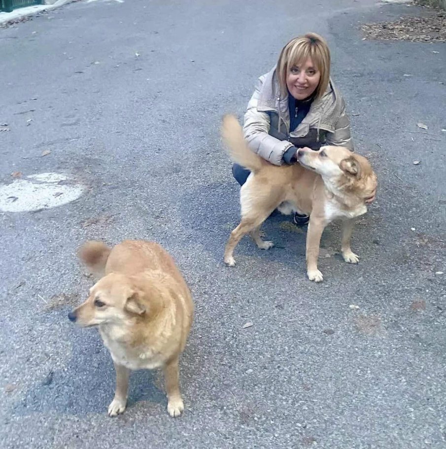 Убиха кучето на Мая Манолова, тя е неутешима