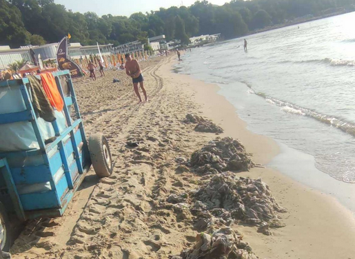 Тонове използвани мокри кърпички изхвърли морето на Южния плаж във Варна