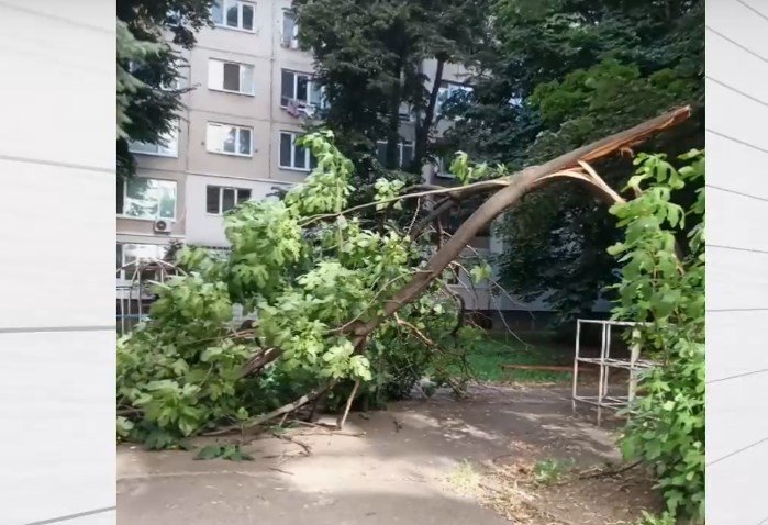 Голям клон на дърво падна върху детска площадка в София