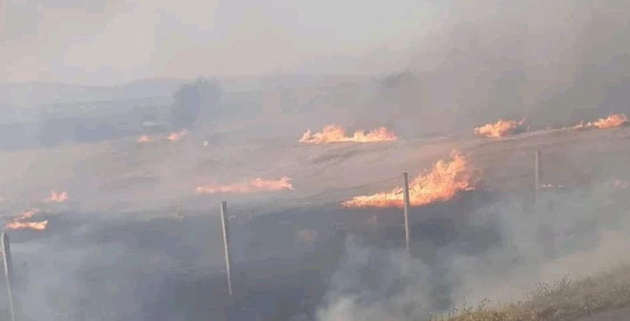 ОТ ПОСЛЕДНИТЕ МИНУТИ: Огнен ад на магистрала Тракия, движението е спряно