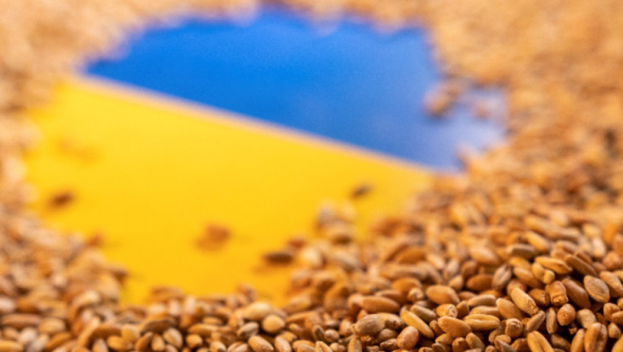 Отпадане на забраната за внос на украинско зърно прие икономическата комисия в НС