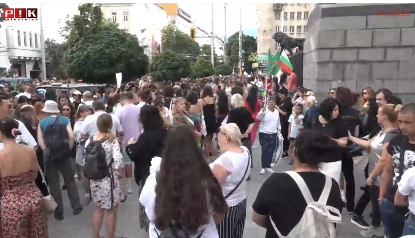 Протестиращи пред НС поискаха незабавно да се приемат промените за домашното насилие