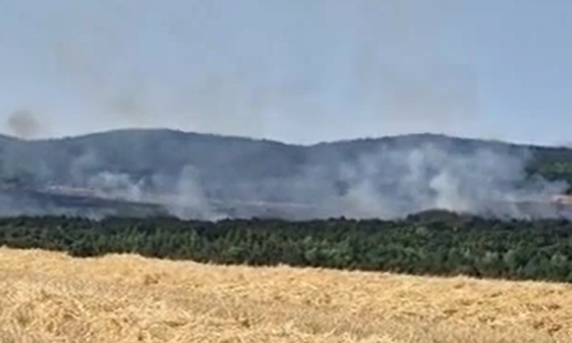 Потушен е пожарът на военния полигон Змейово