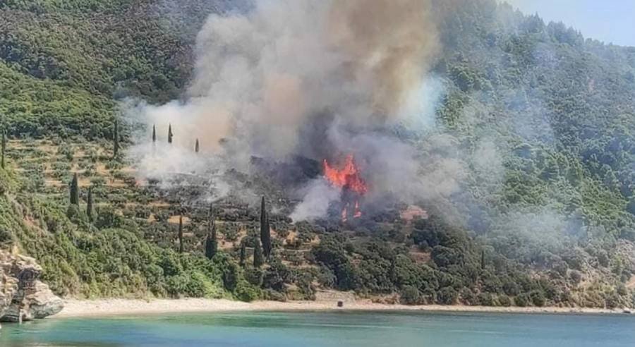 Пожар избухна в гора край Казанлък