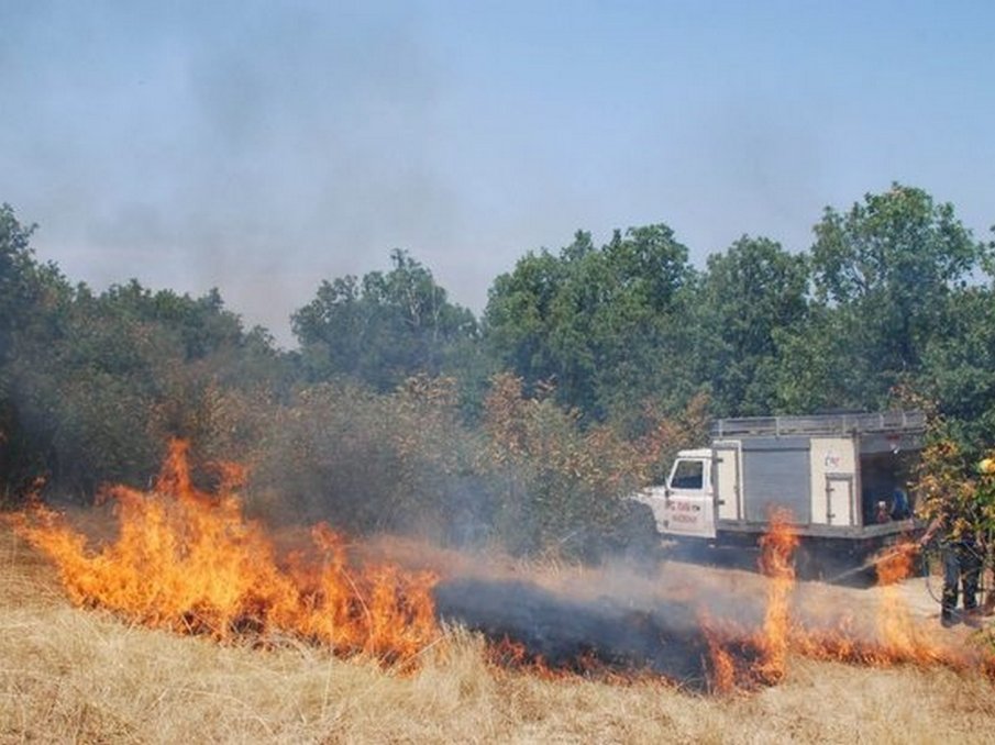 Два големи пожара вилнеят в Бургаска област