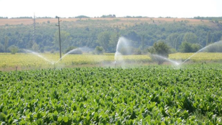 БЕДА: Земеделци от Шуменско пред фалити, спират им водата за напояване