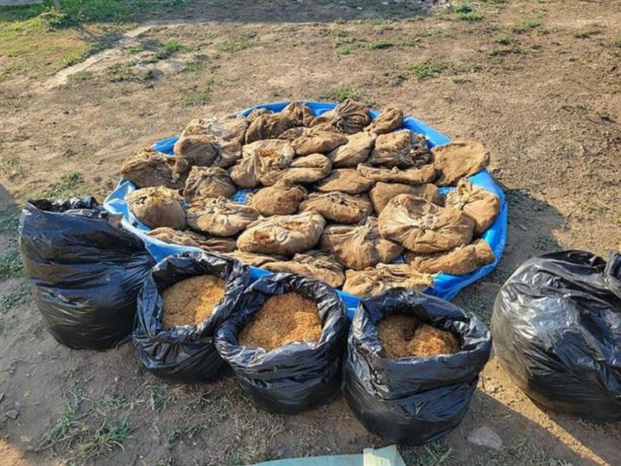 Тютюнопроизводителите получават 70 млн. лева преходна помощ